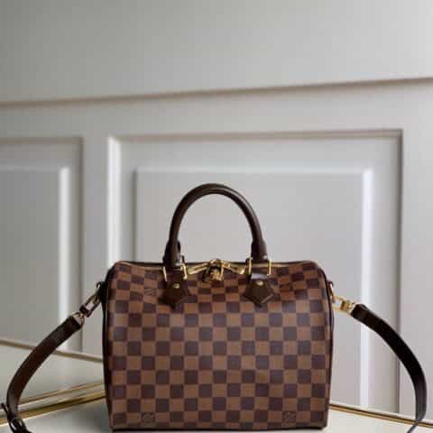 Louis Vuitton LV Speedy 25 手提包 M41368