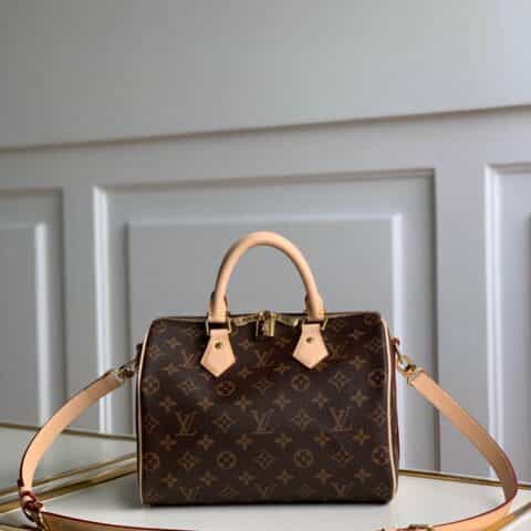 Louis Vuitton LV Speedy 25 手提包 M41113