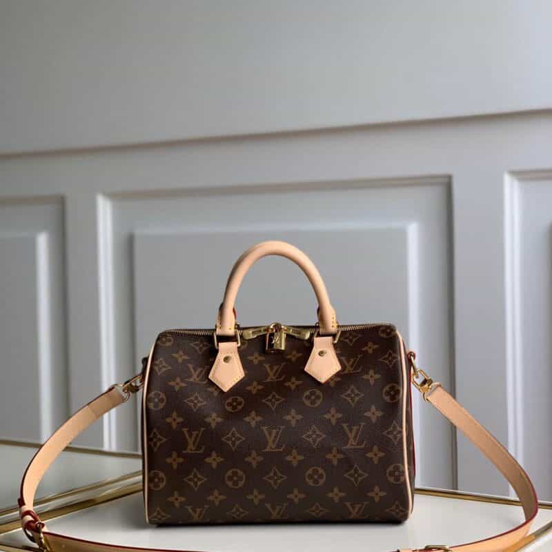 Louis Vuitton LV Speedy 25 手提包 M41113