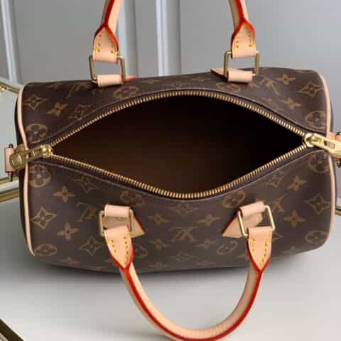 Louis Vuitton LV Speedy 25 手提包 M41113