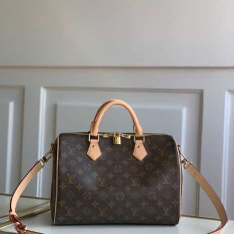 Louis Vuitton LV Speedy 30 手提包 M41112