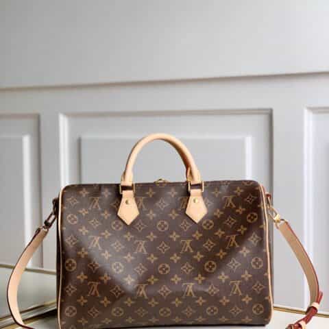 Louis Vuitton LV Speedy 35 手提包 M41111
