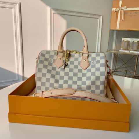 Louis Vuitton LV Speedy 25 手提包 M41374