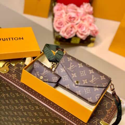 Louis Vuitton LV Félicie Strap & Go bag M80091