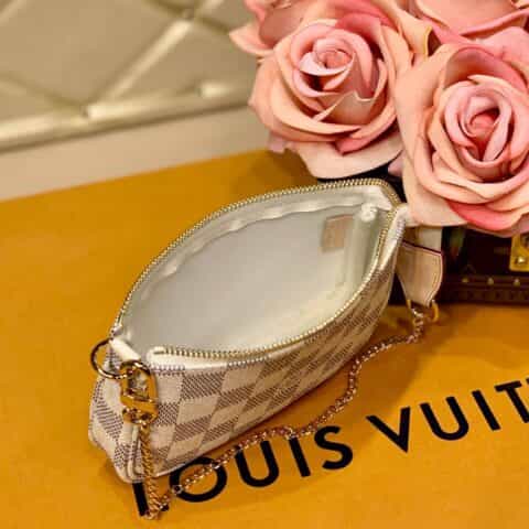 Louis Vuitton LV Mini Pochette Accessoires N58010白格
