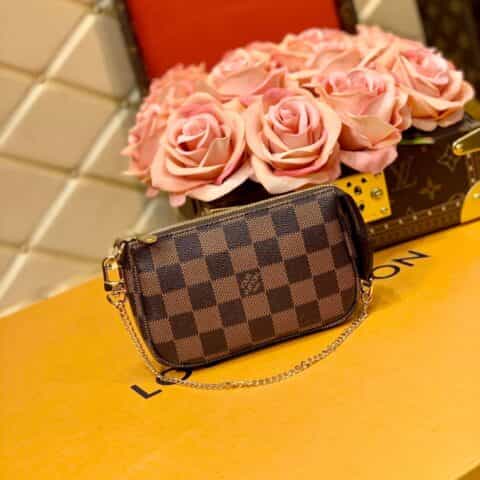 Louis Vuitton LV Mini Pochette Accessoires N58009咖啡格