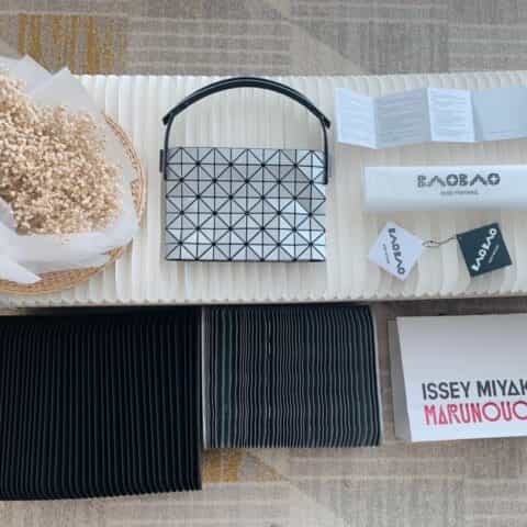 ISSEYMIYAKE三宅一生BAGUETTE新系列法棍包腋下包BB11-AG991