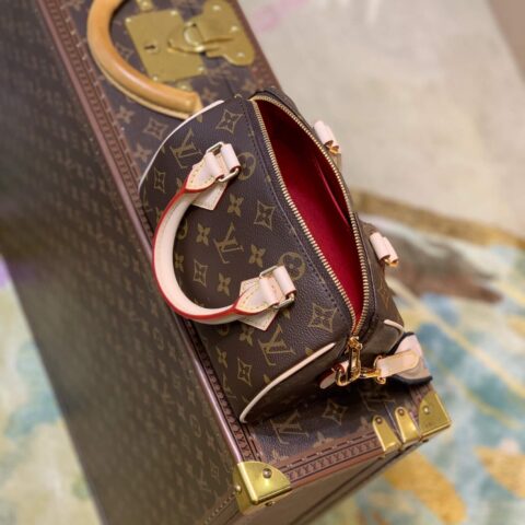 Louis Vuitton LV Speedy Bandoulière 20 手提包 M45957