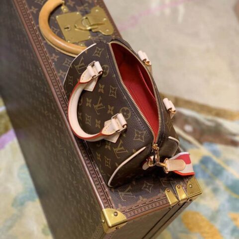 Louis Vuitton LV Speedy Bandoulière 20 手提包 M45948