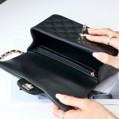 CHANEL 2022cc春夏预告系列22p小狮子手柄 cf mini handle AS2431黑色