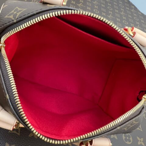 Louis Vuitton LV Speedy Bandoulière 20 刺绣肩带枕头包 M45957