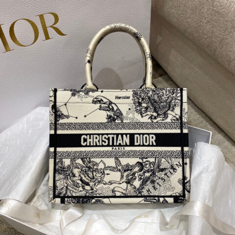 Small Dior Book Tote M1265ZRHZ_M941