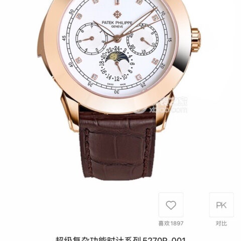 百达翡丽超级复杂功能系列5073P_010腕表