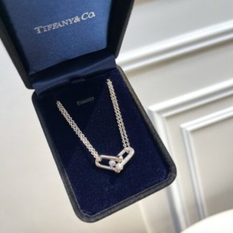 Tiffany&co 蒂芙尼满钻双链环项链