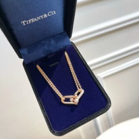 Tiffany&co 蒂芙尼满钻双链环项链