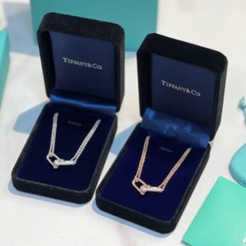 Tiffany&co 蒂芙尼满钻双链环项链