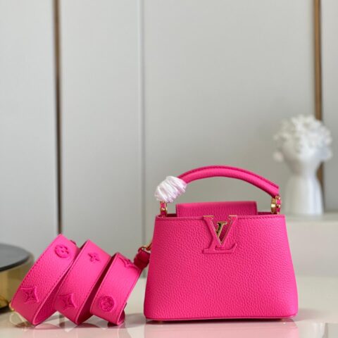 LV M20848 CAPUCINES MINI BAG