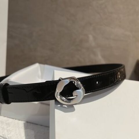 GIVENHY纪梵希    G链条搭扣腰带2.0cm