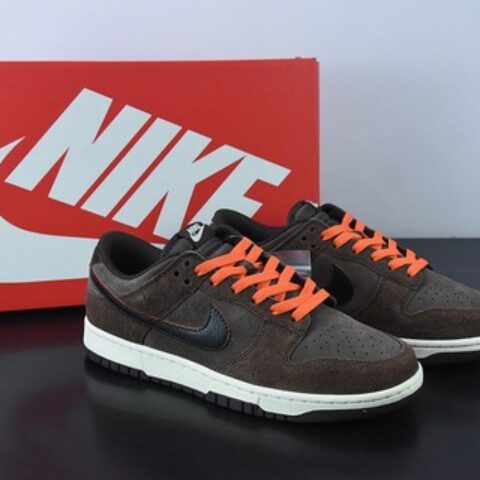 H05G4纯原 Nk Dunk Low Retro 摩卡棕 SB低帮运动休闲板鞋 货号：DQ8801-200