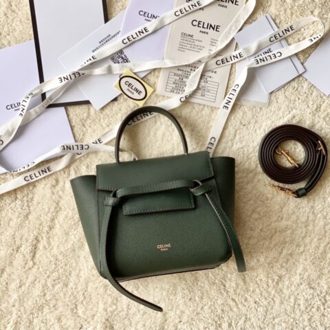 CELINE赛琳Belt 掌纹系列鲶鱼包194263