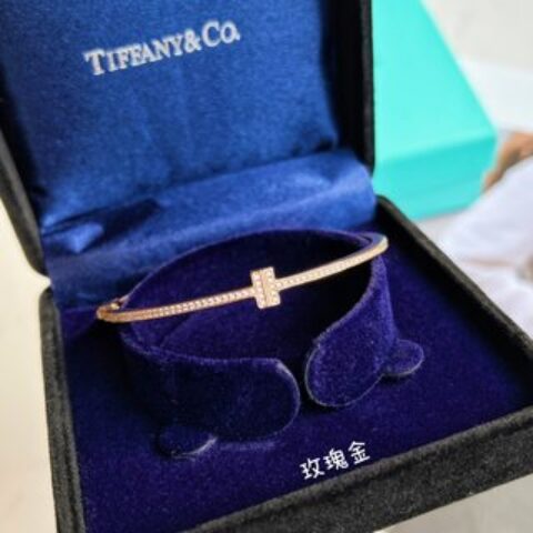 Tiffany&co 蒂芙尼 经典款T字系列满钻双T手镯