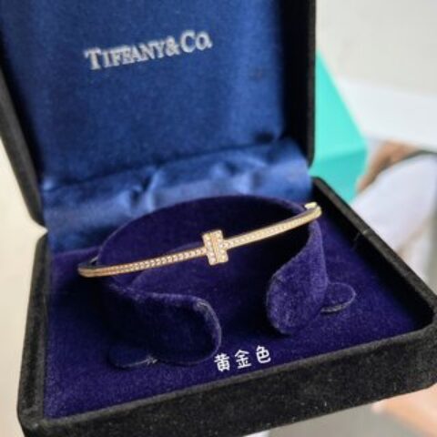 Tiffany&co 蒂芙尼 经典款T字系列满钻双T手镯