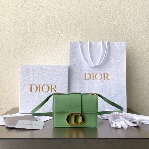 DIOR MICRO 30 MONTAIGNE BAG S2110薄荷绿/金扣