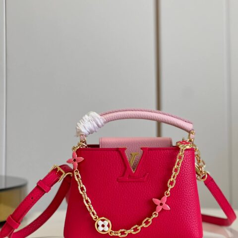 LV M20845 CAPUCINES MINI BAG