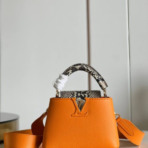 LV N81410 CAPUCINES MINI BAG