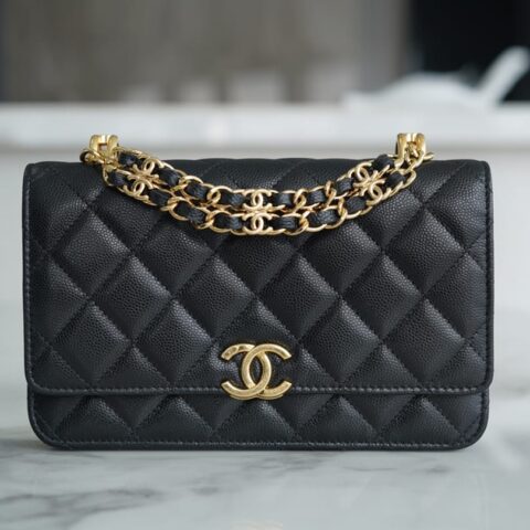 CHANEL 22k 新款WOC链条包 AP3019 B09221 94305