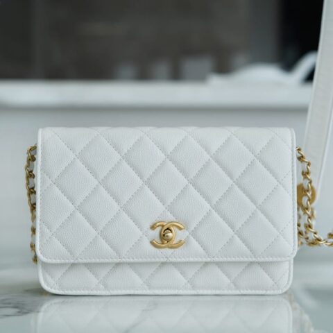 CHANEL 22A 高级手工坊金币WOC链条包 AP2840白色