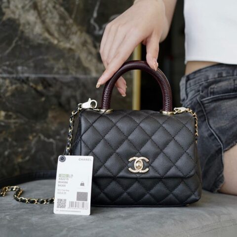 CHANEL 2021早春新款Mini coco handle 19cm 蜥蜴皮手柄翻盖包 AS2215