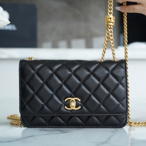 CHANEL 22K 小金柱 调节扣woc链条钱包 AP3043 B09300 94305