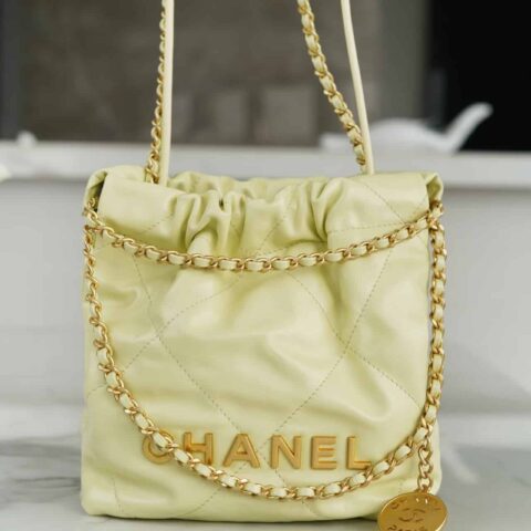 CHANEL 23s春夏新款22Mini bag AS3980 B08037 NN289