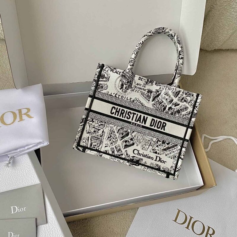 DIOR 小号 BOOK TOTE M1265 3夏季"巴黎地图"