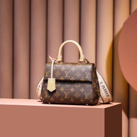 Louis Vuitton M46055 Cluny Mini
