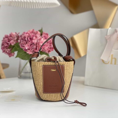Chloe Basket Bag 菜篮子包包 17CM棕色