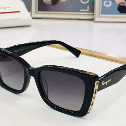 Ferragamo菲拉格慕标志镜腿男女通用太阳眼镜