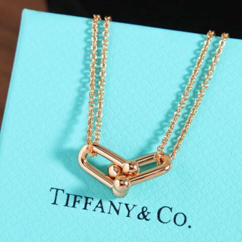 新款☑️TIFFANY&Co.蒂芙尼Tiffany HardWear 系列双环马蹄扣项链