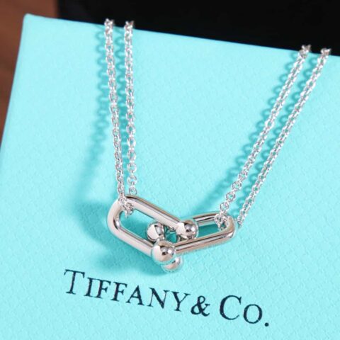 新款☑️TIFFANY&Co.蒂芙尼Tiffany HardWear 系列双环马蹄扣项链