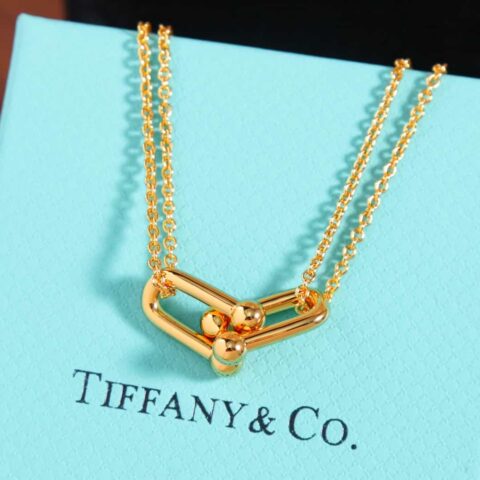 新款☑️TIFFANY&Co.蒂芙尼Tiffany HardWear 系列双环马蹄扣项链