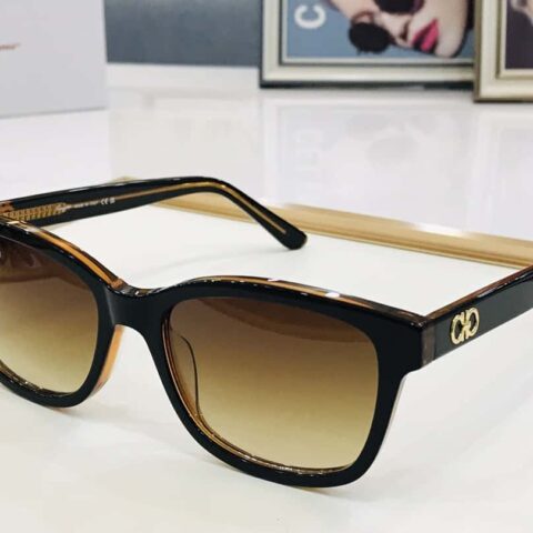 Ferragamo菲拉格慕标志镜腿太阳眼镜
