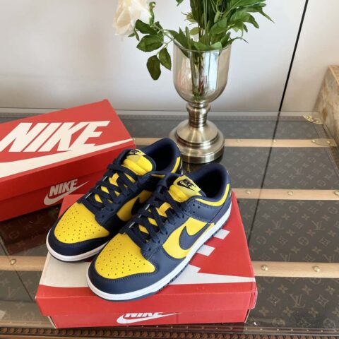 Nike SB Dunk Low Retro 低帮休闲滑板运动板鞋