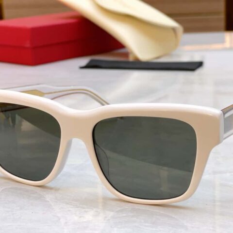 Ferragamo菲拉格幕新款太阳镜