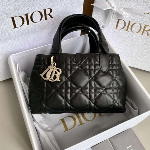 小号 DIOR TOUJOURS 手袋 M2822OSHJ_M900