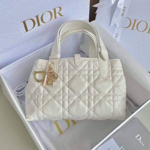 小号 DIOR TOUJOURS 手袋 M2822OSHJ_M030