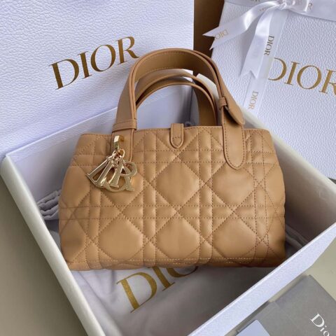 小号 DIOR TOUJOURS 手袋 M2822OSHJ_M53U