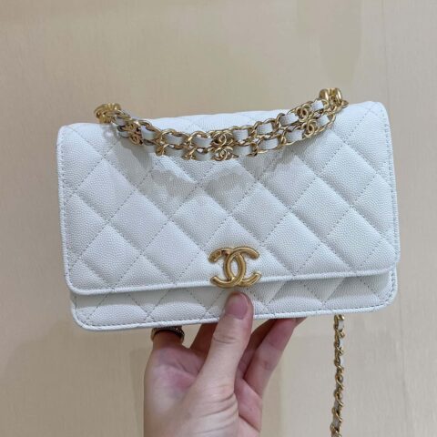 CHANEL 22k 秋冬高级成衣系列 荔枝牛皮woc AP3019白色