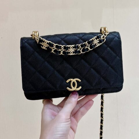 CHANEL 22k 秋冬高级成衣系列 荔枝牛皮woc AP3019黑色