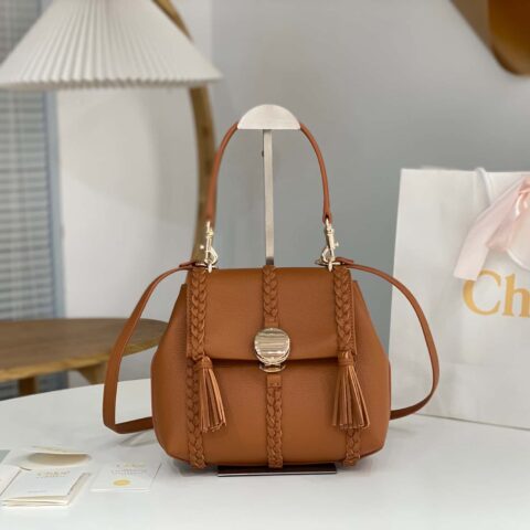 Chloe Penelope金币包 中号摔纹皮 棕色25CM